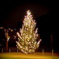 Foto: Loris Hoch Weihnachtsbaum auf dem Dorfplatz in Biel-Benken